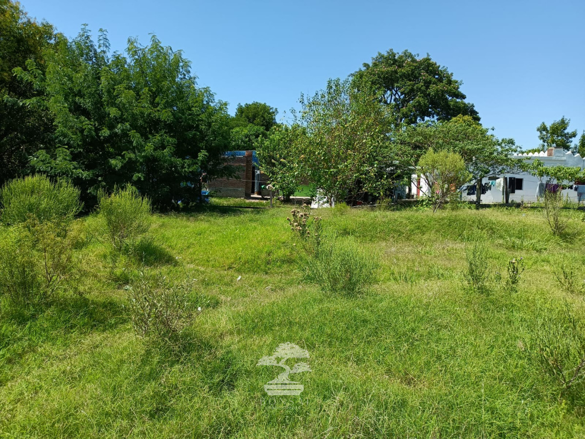 Terreno ID.442 - Venta Terreno Young 2272 m2 Rio Negro V