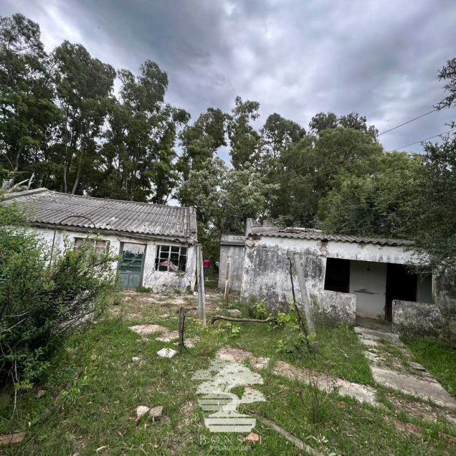 Terreno ID.196 - Venta Terrenos Mendoza Chico Florida Mp.
