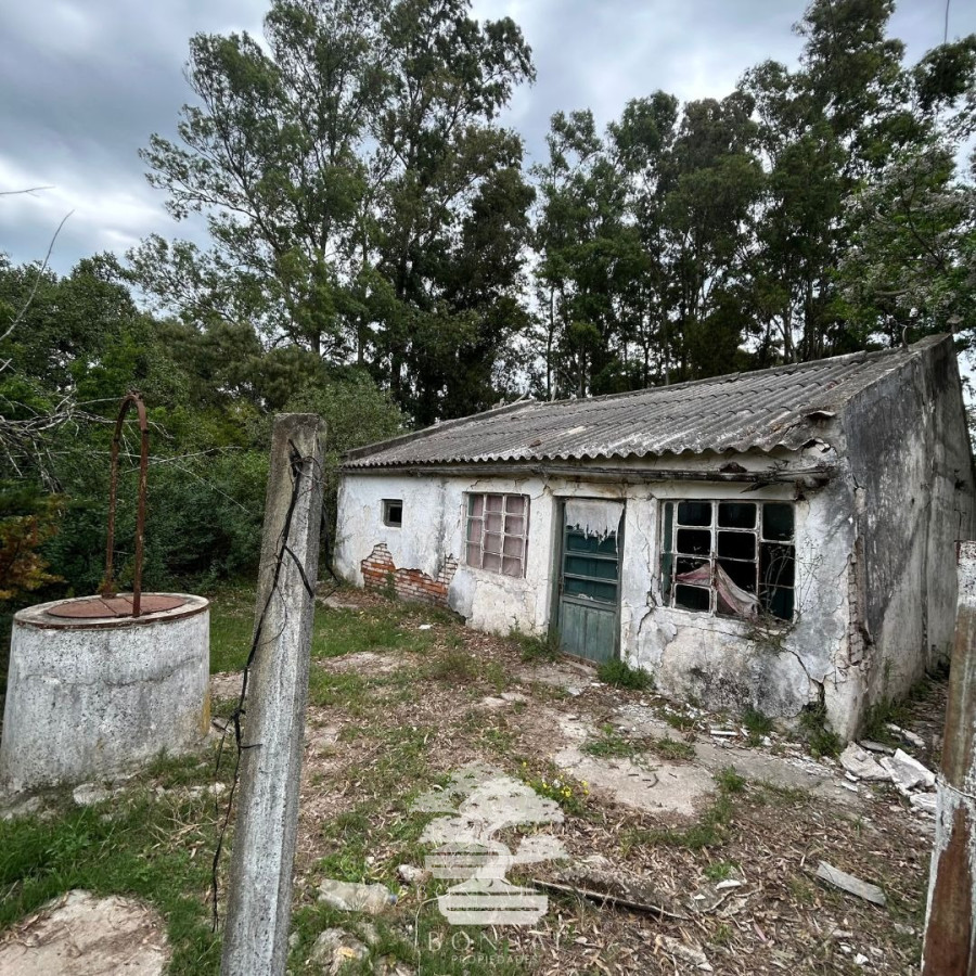 Terreno ID.196 - Venta Terrenos Mendoza Chico Florida Mp.
