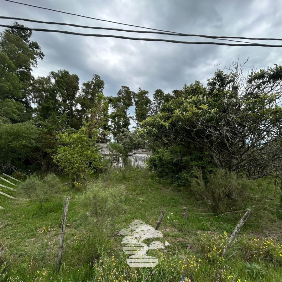 Terreno ID.196 - Venta Terrenos Mendoza Chico Florida Mp.