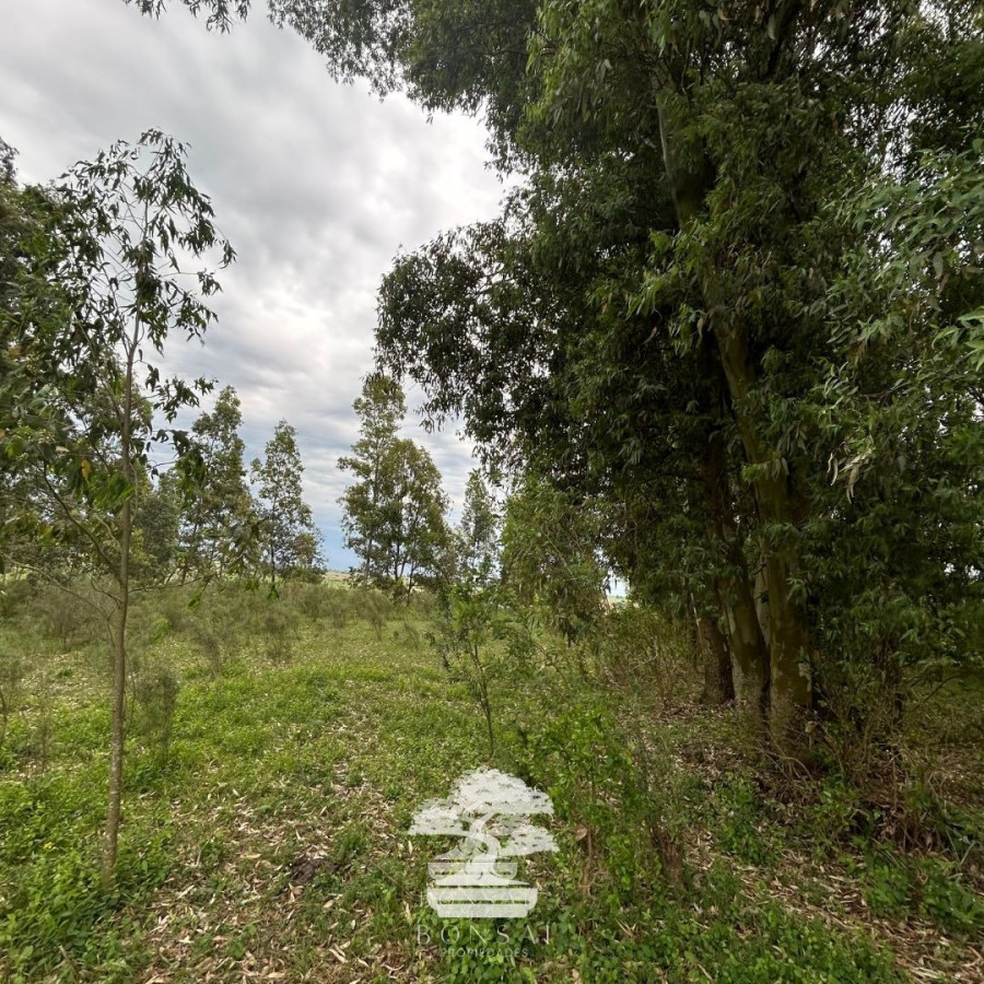 Terreno ID.196 - Venta Terrenos Mendoza Chico Florida Mp.