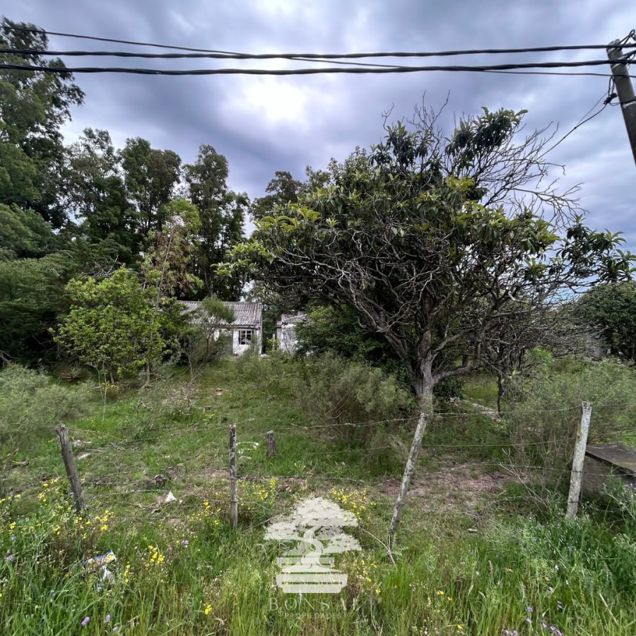 Terreno ID.196 - Venta Terrenos Mendoza Chico Florida Mp.