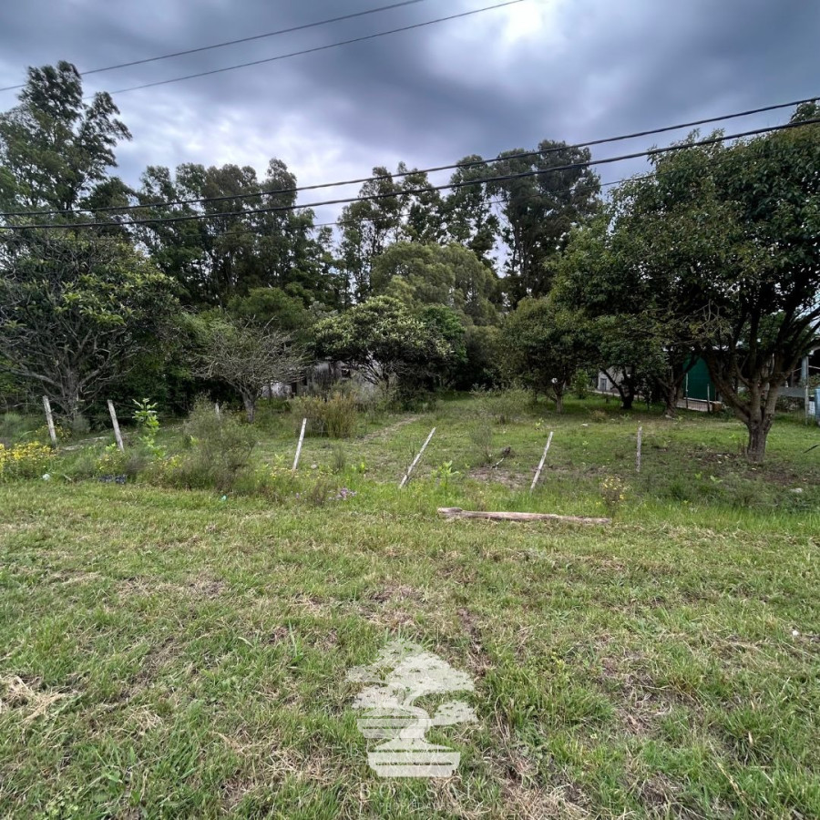 Terreno ID.196 - Venta Terrenos Mendoza Chico Florida Mp.