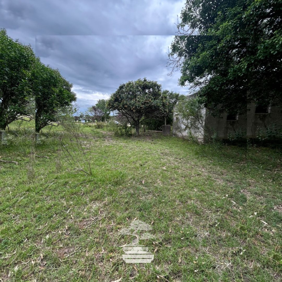 Terreno ID.196 - Venta Terrenos Mendoza Chico Florida Mp.