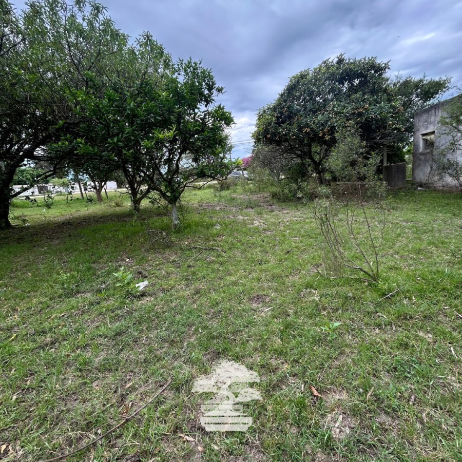 Terreno ID.196 - Venta Terrenos Mendoza Chico Florida Mp.