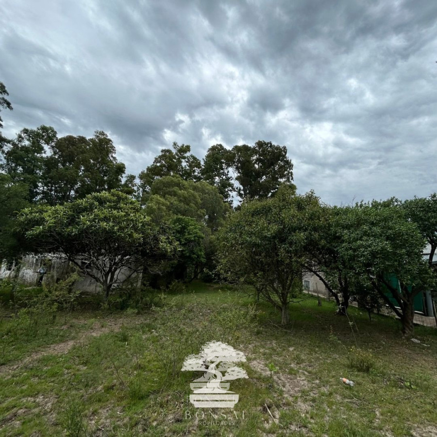 Terreno ID.196 - Venta Terrenos Mendoza Chico Florida Mp.