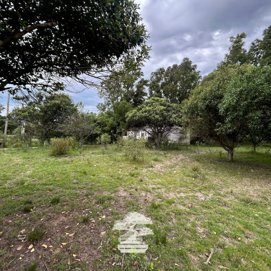 Terreno ID.196 - Venta Terrenos Mendoza Chico Florida Mp.