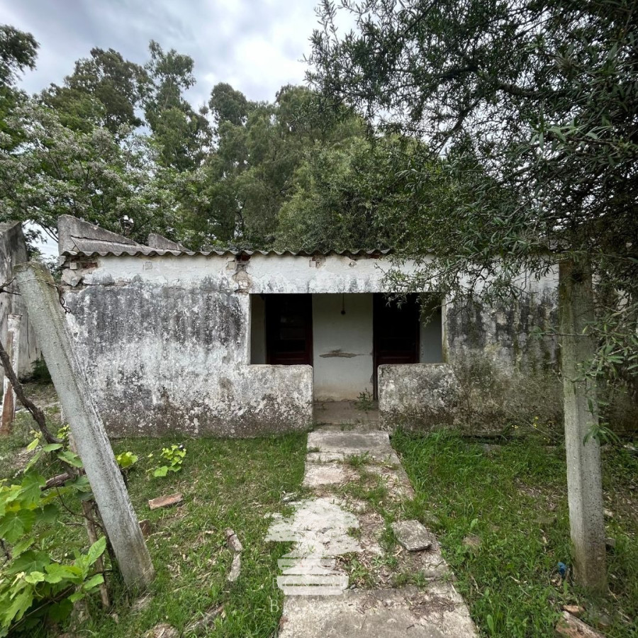 Terreno ID.196 - Venta Terrenos Mendoza Chico Florida Mp.