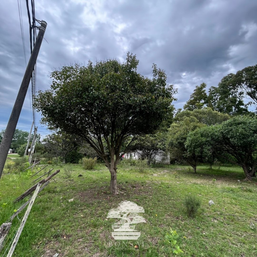 Terreno ID.196 - Venta Terrenos Mendoza Chico Florida Mp.