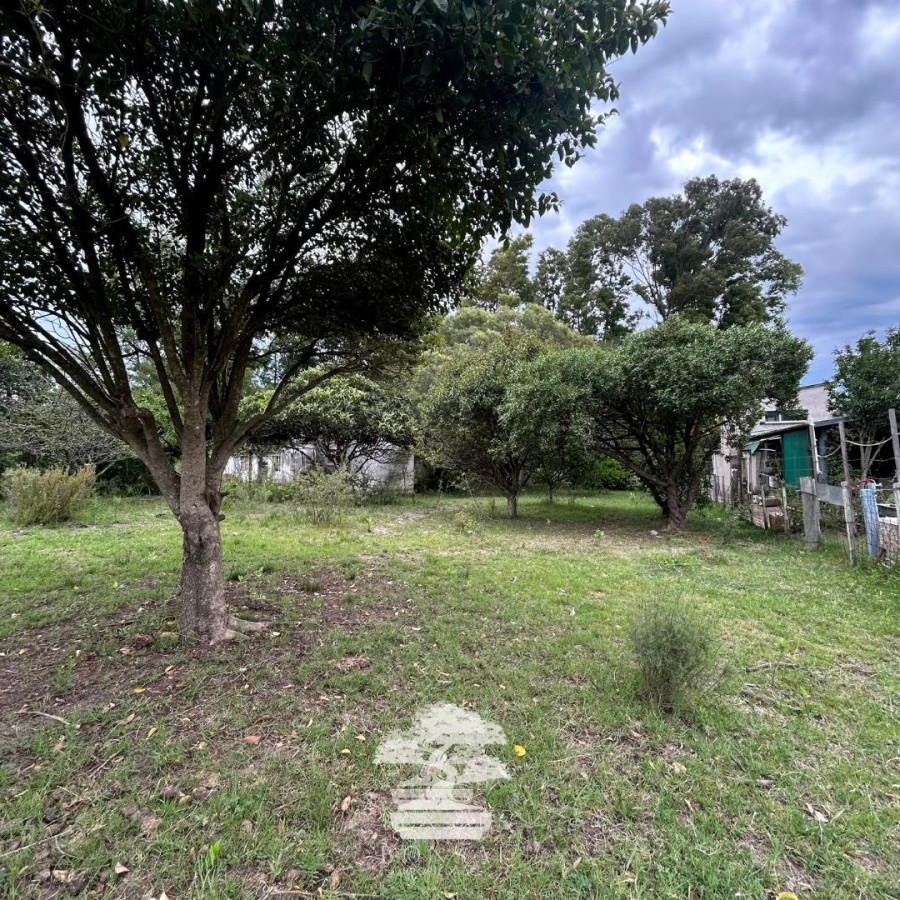 Terreno ID.196 - Venta Terrenos Mendoza Chico Florida Mp.