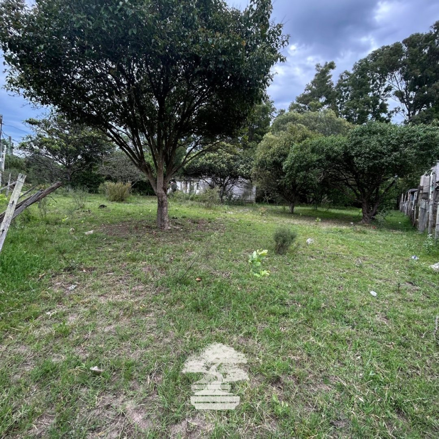 Terreno ID.196 - Venta Terrenos Mendoza Chico Florida Mp.
