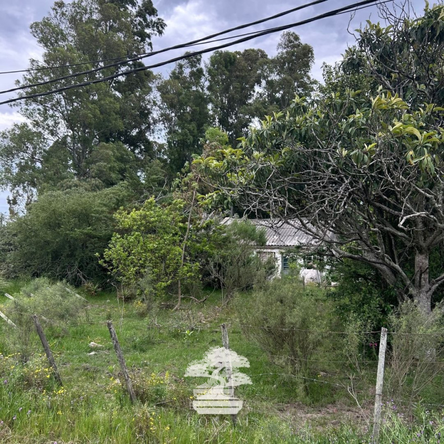 Terreno ID.196 - Venta Terrenos Mendoza Chico Florida Mp.