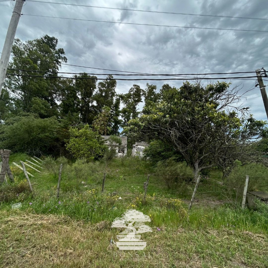 Terreno ID.196 - Venta Terrenos Mendoza Chico Florida Mp.
