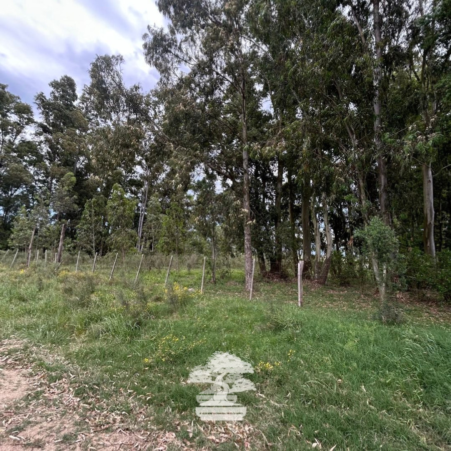 Terreno ID.196 - Venta Terrenos Mendoza Chico Florida Mp.