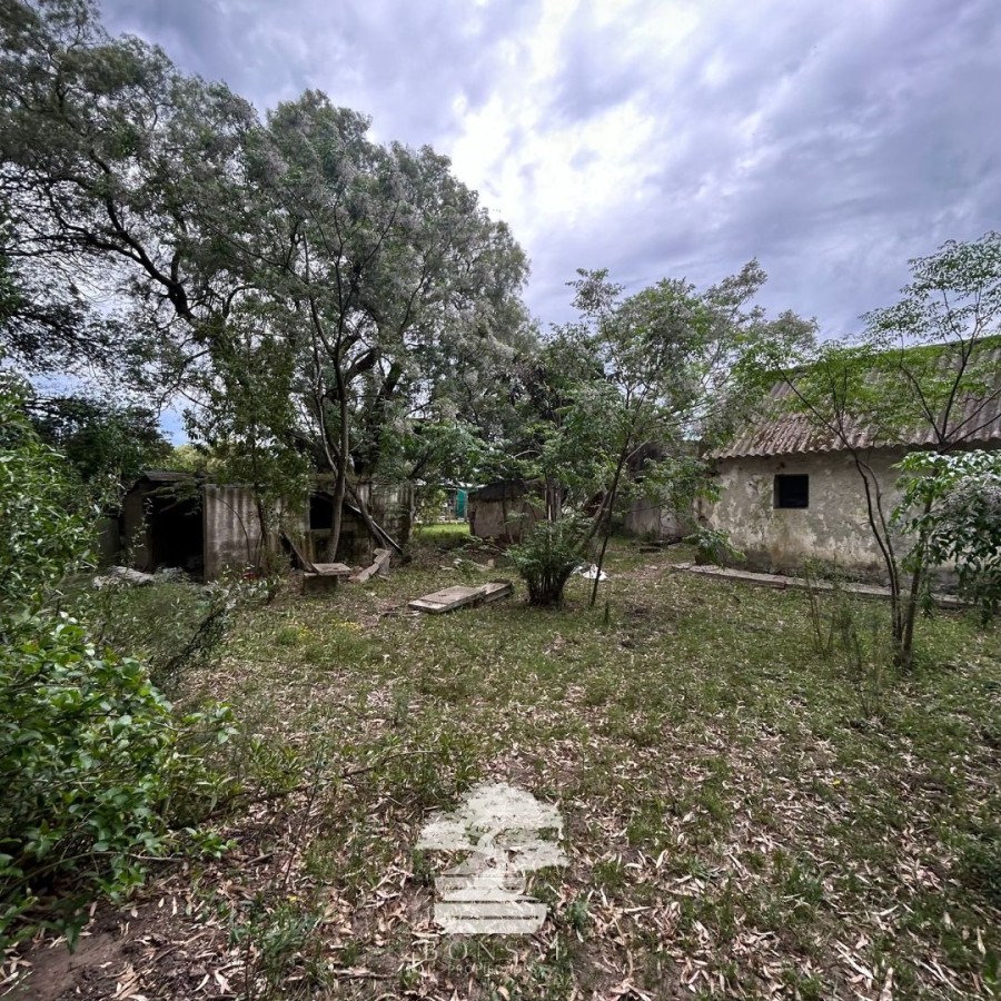 Terreno ID.196 - Venta Terrenos Mendoza Chico Florida Mp.