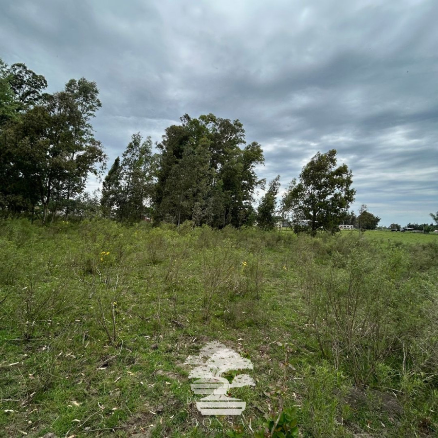 Terreno ID.196 - Venta Terrenos Mendoza Chico Florida Mp.