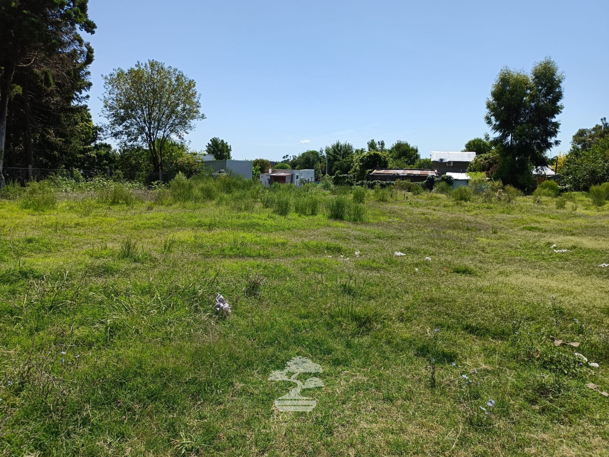 Terreno ID.442 - Venta Terreno Young 2272 m2 Rio Negro V