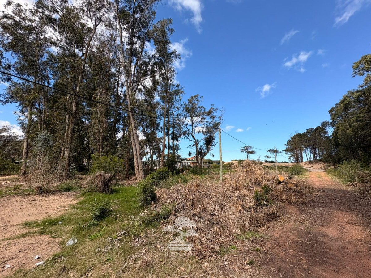 Terreno ID.1193 - Terreno a una Cuadra de la Playa en Ocean Park