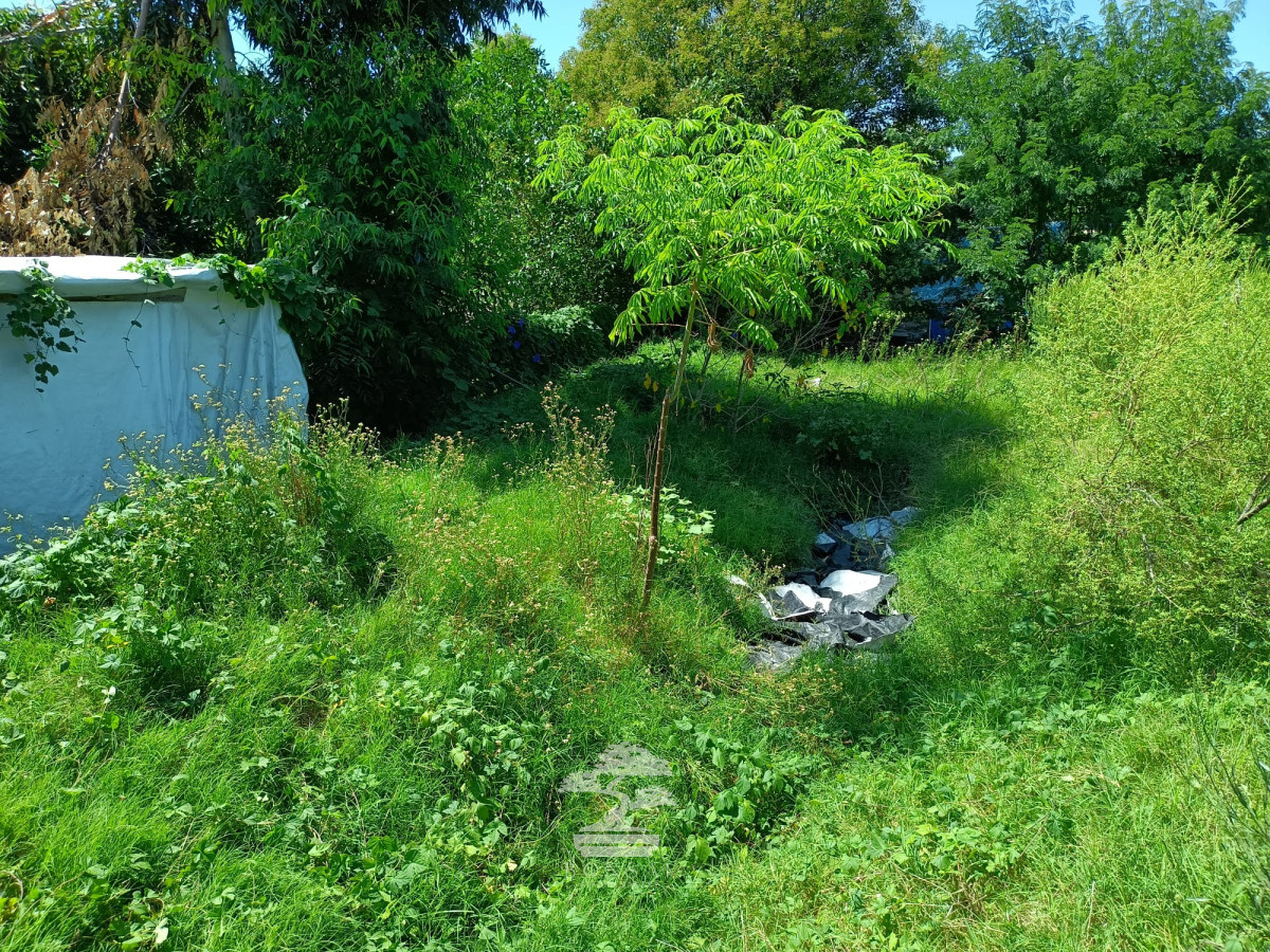 Terreno ID.442 - Venta Terreno Young 2272 m2 Rio Negro V