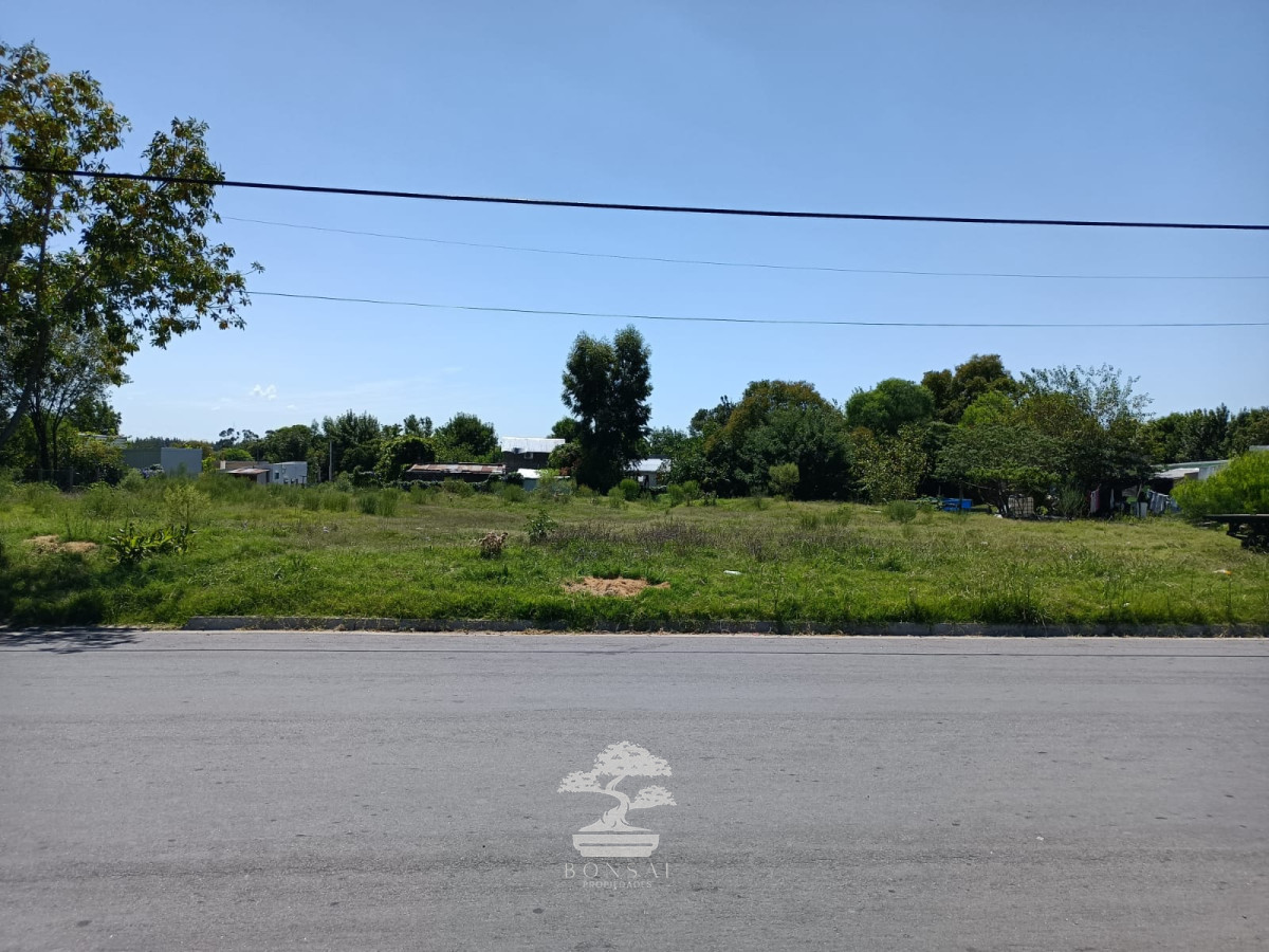 Terreno ID.442 - Venta Terreno Young 2272 m2 Rio Negro V