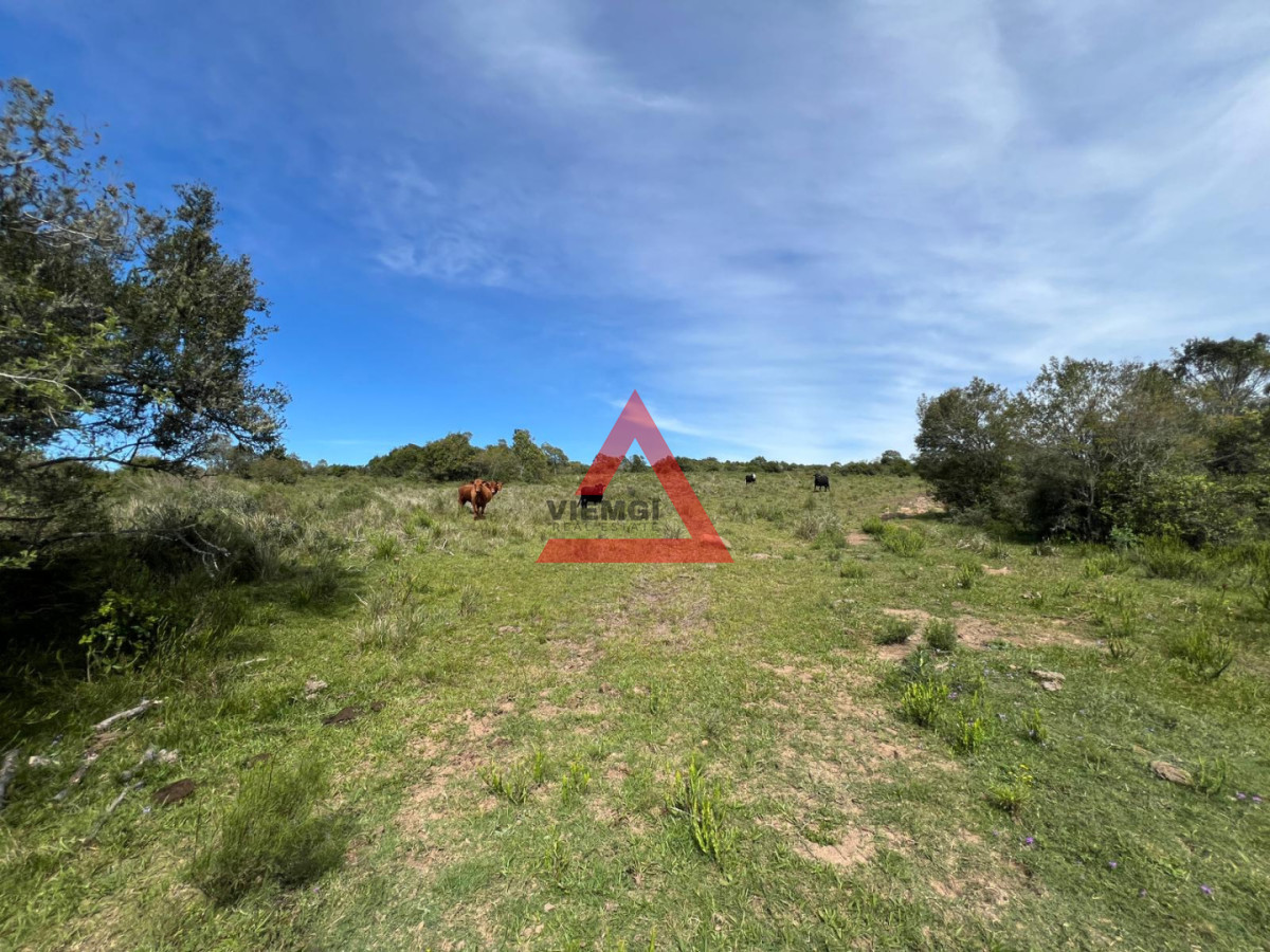 Chacra ID.277 - Chacra en Ruta 39 - Maldonado