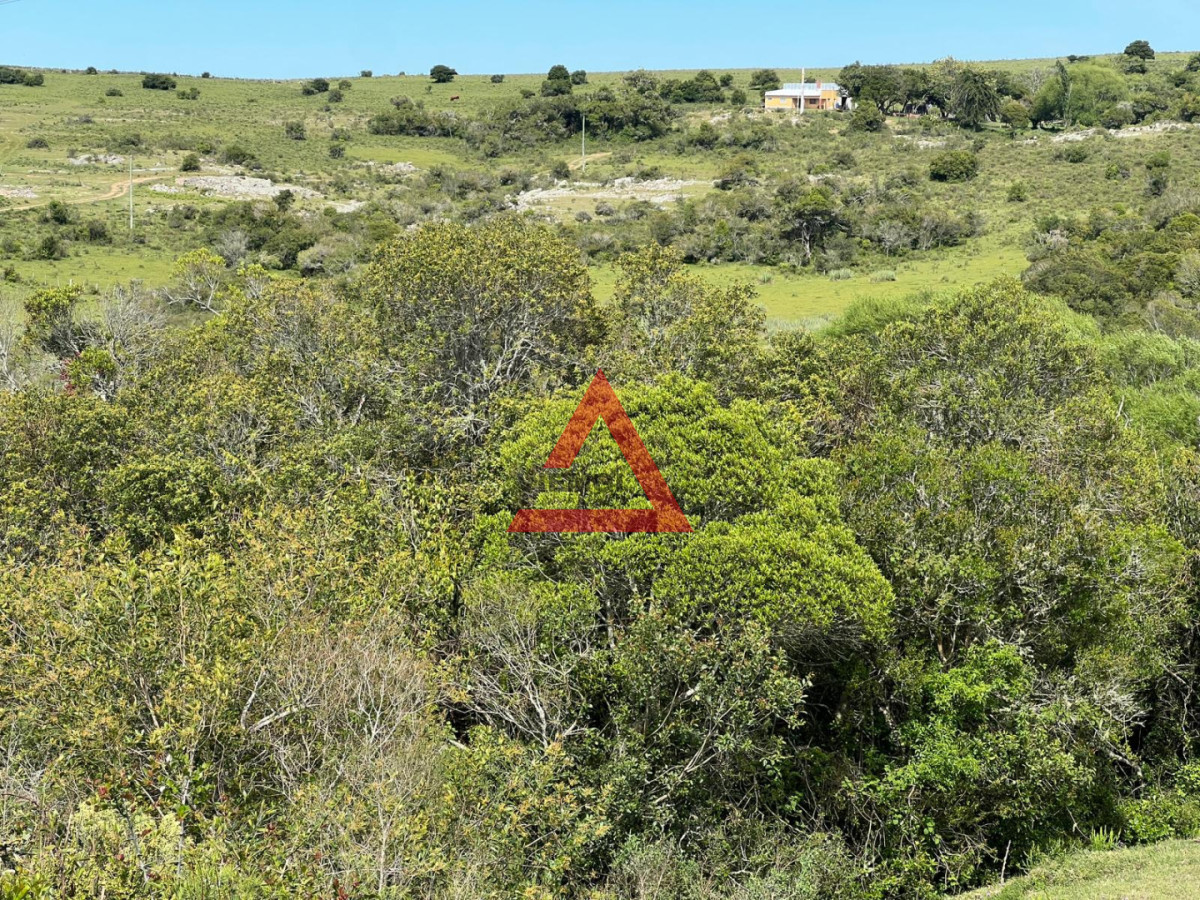 Chacra ID.277 - Chacra en Ruta 39 - Maldonado