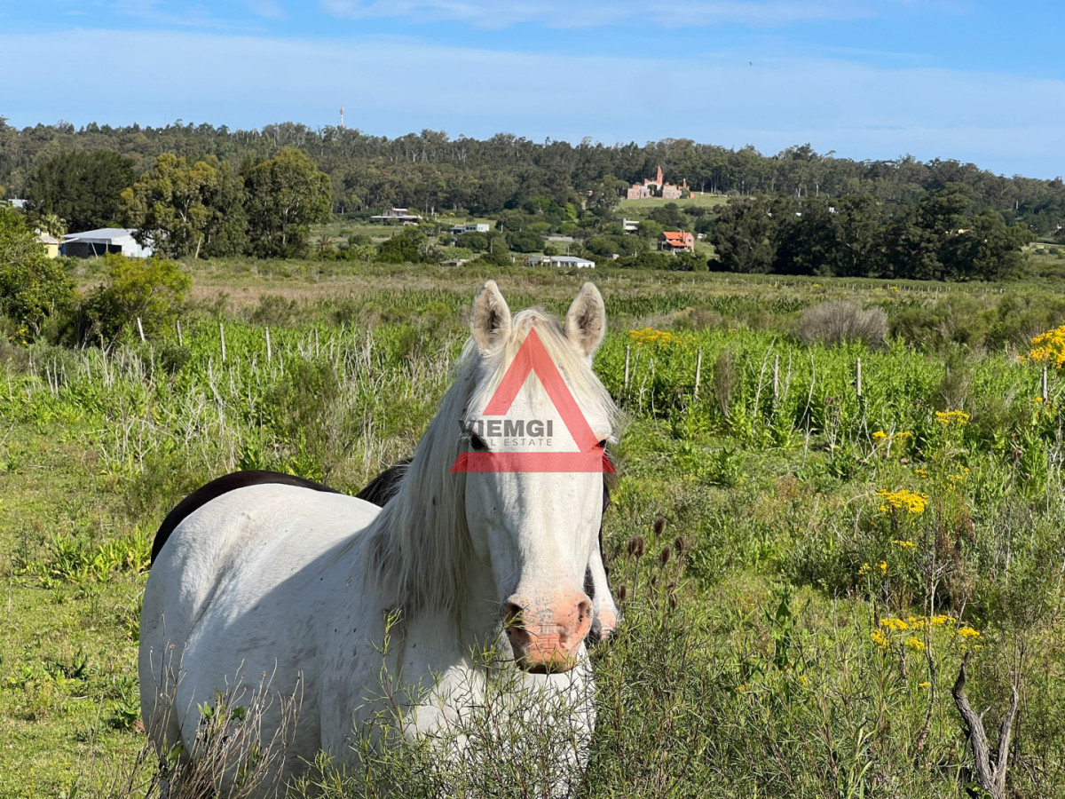 Chacra ID.274 - Venta Chacra 3 Has en las Flores