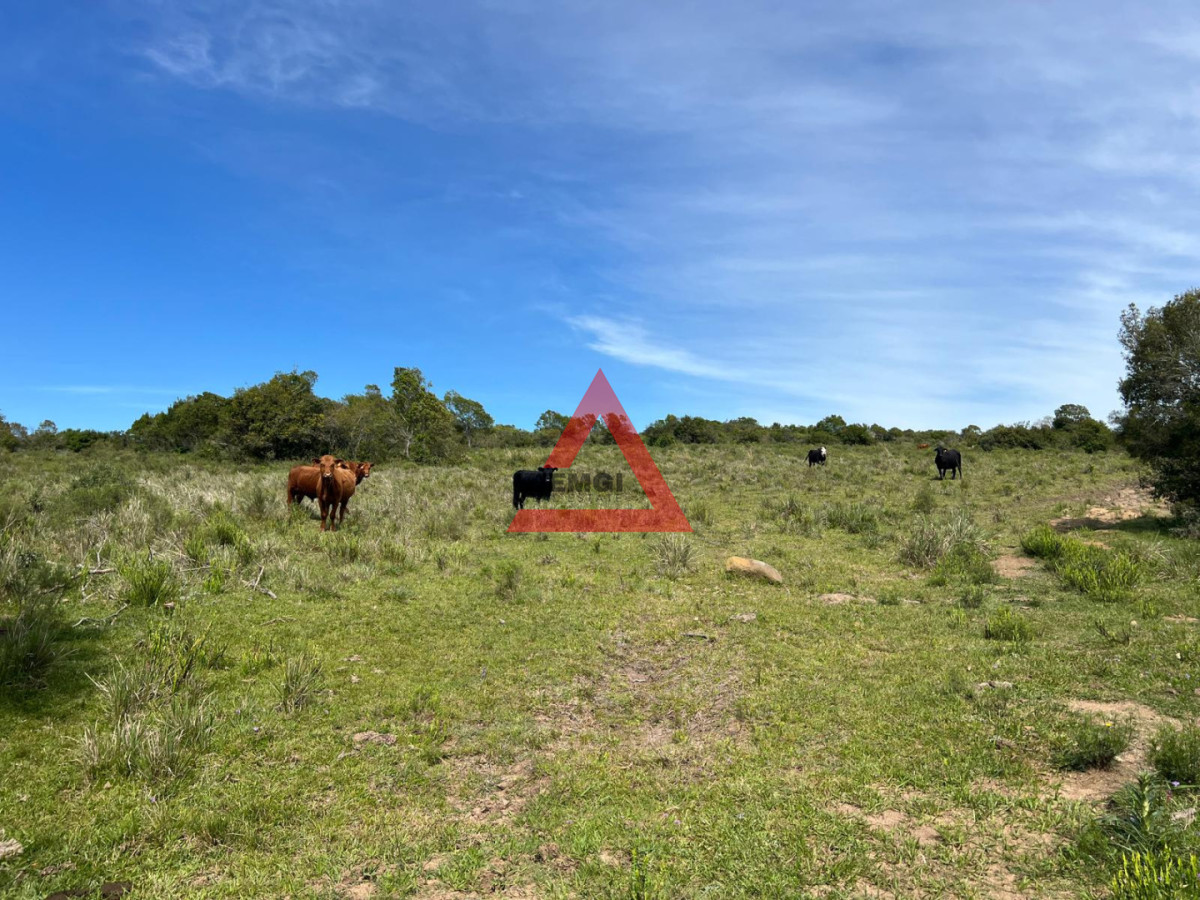 Chacra ID.277 - Chacra en Ruta 39 - Maldonado