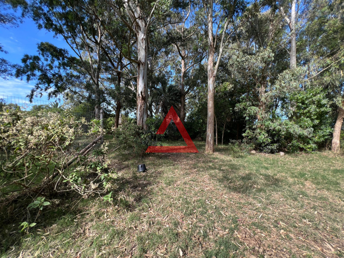 Chacra ID.274 - Venta Chacra 3 Has en las Flores