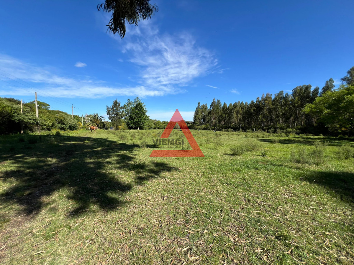 Chacra ID.272 - Venta Chacra de 3 Has en Las Flores