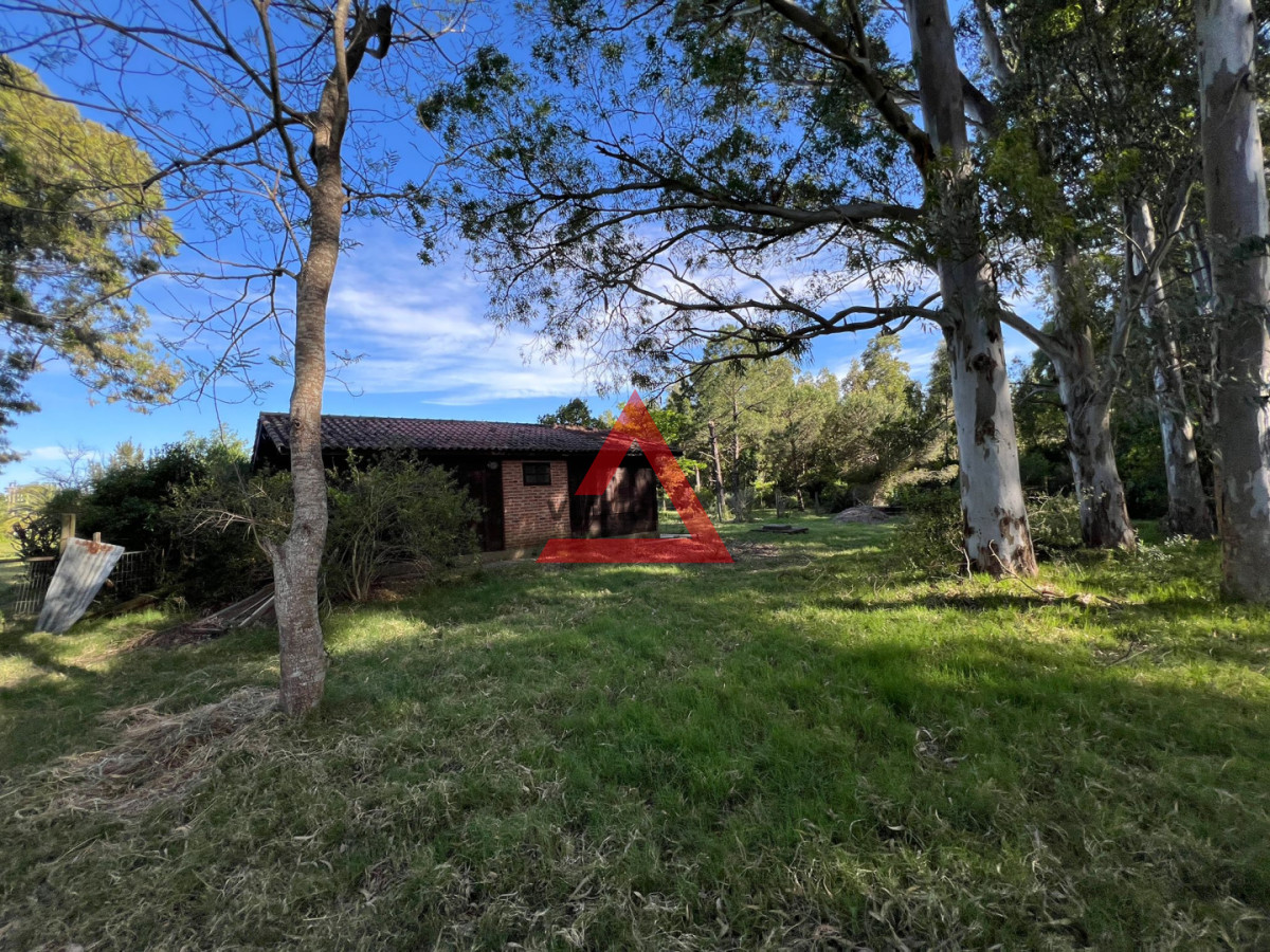 Chacra ID.272 - Venta Chacra de 3 Has en Las Flores