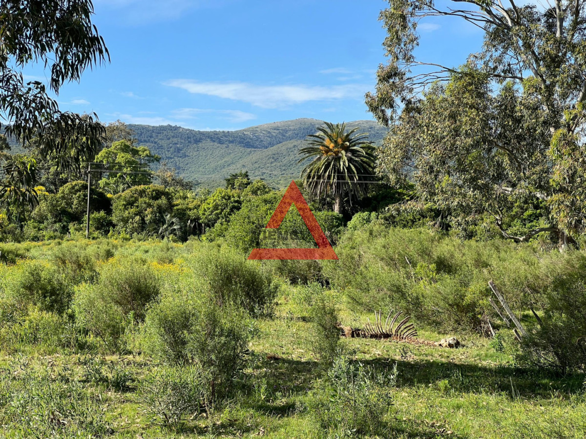 Chacra ID.274 - Venta Chacra 3 Has en las Flores