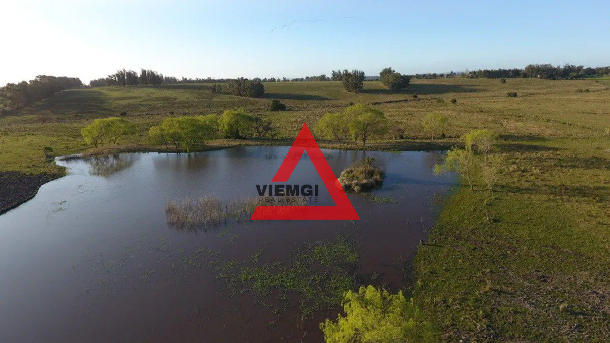 Chacra ID.47 - Chacra de Lujo en La Barra – 5 Dormitorios, Piscina y Sauna - Cerro Eguzquiza