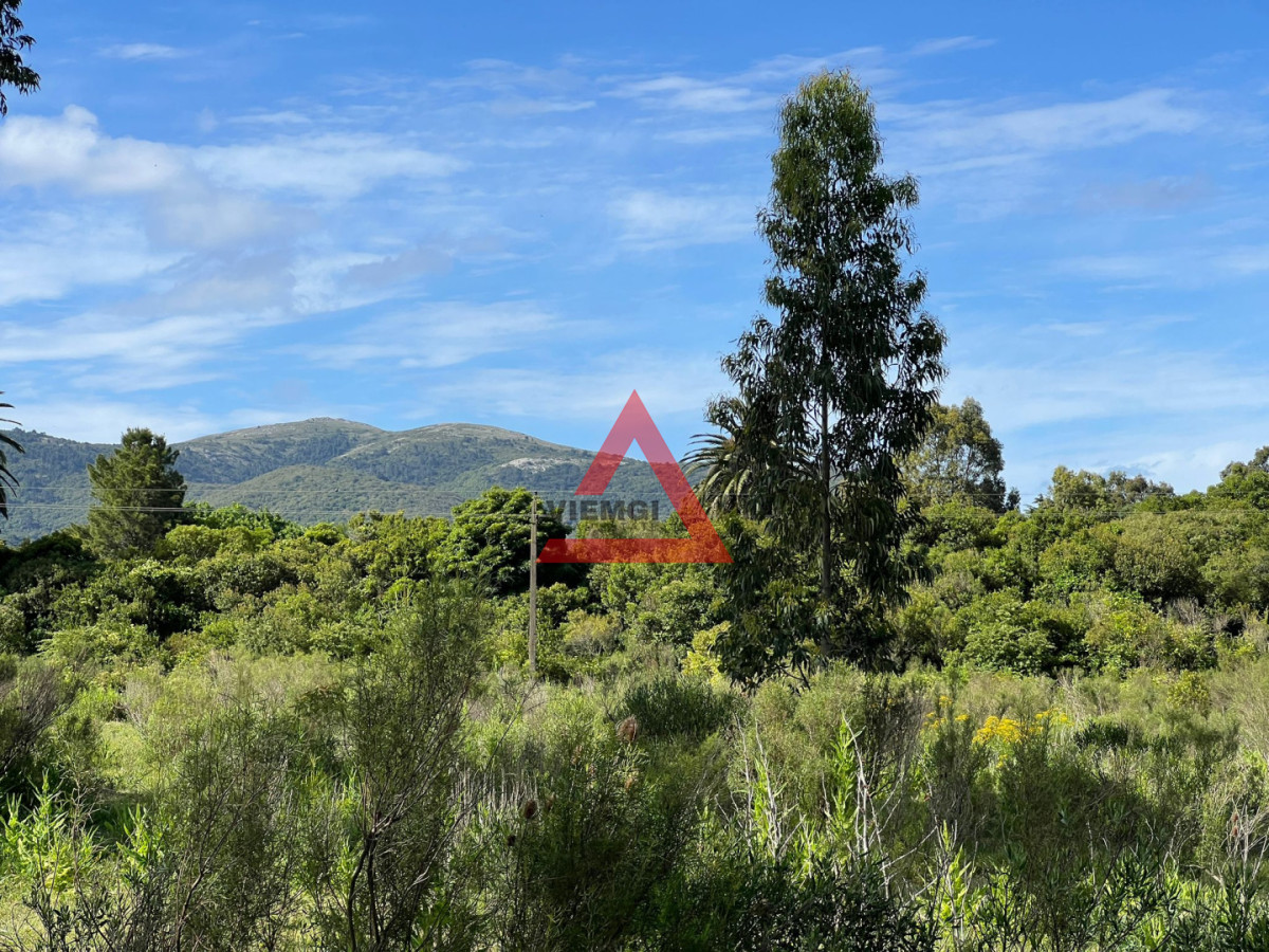 Chacra ID.272 - Venta Chacra de 3 Has en Las Flores