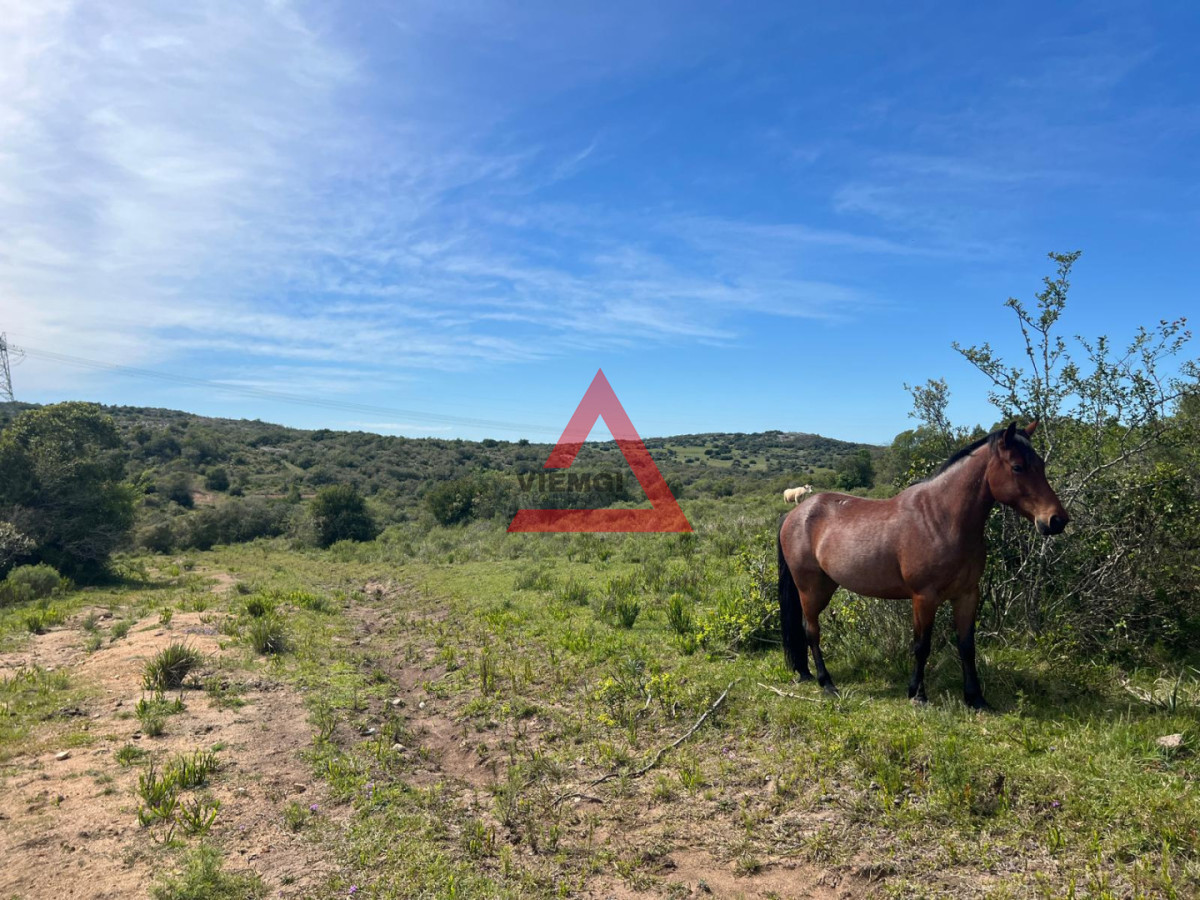 Chacra ID.277 - Chacra en Ruta 39 - Maldonado