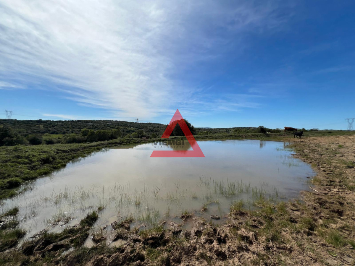Chacra ID.277 - Chacra en Ruta 39 - Maldonado