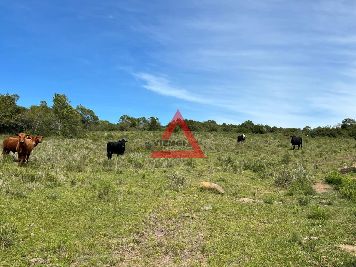 Chacra ID.277 - Chacra en Ruta 39 - Maldonado