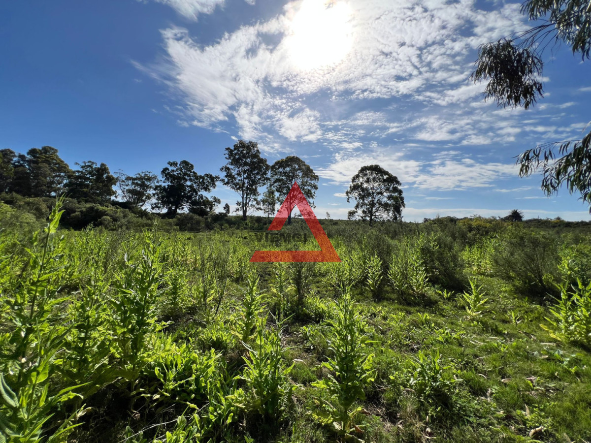 Chacra ID.274 - Venta Chacra 3 Has en las Flores