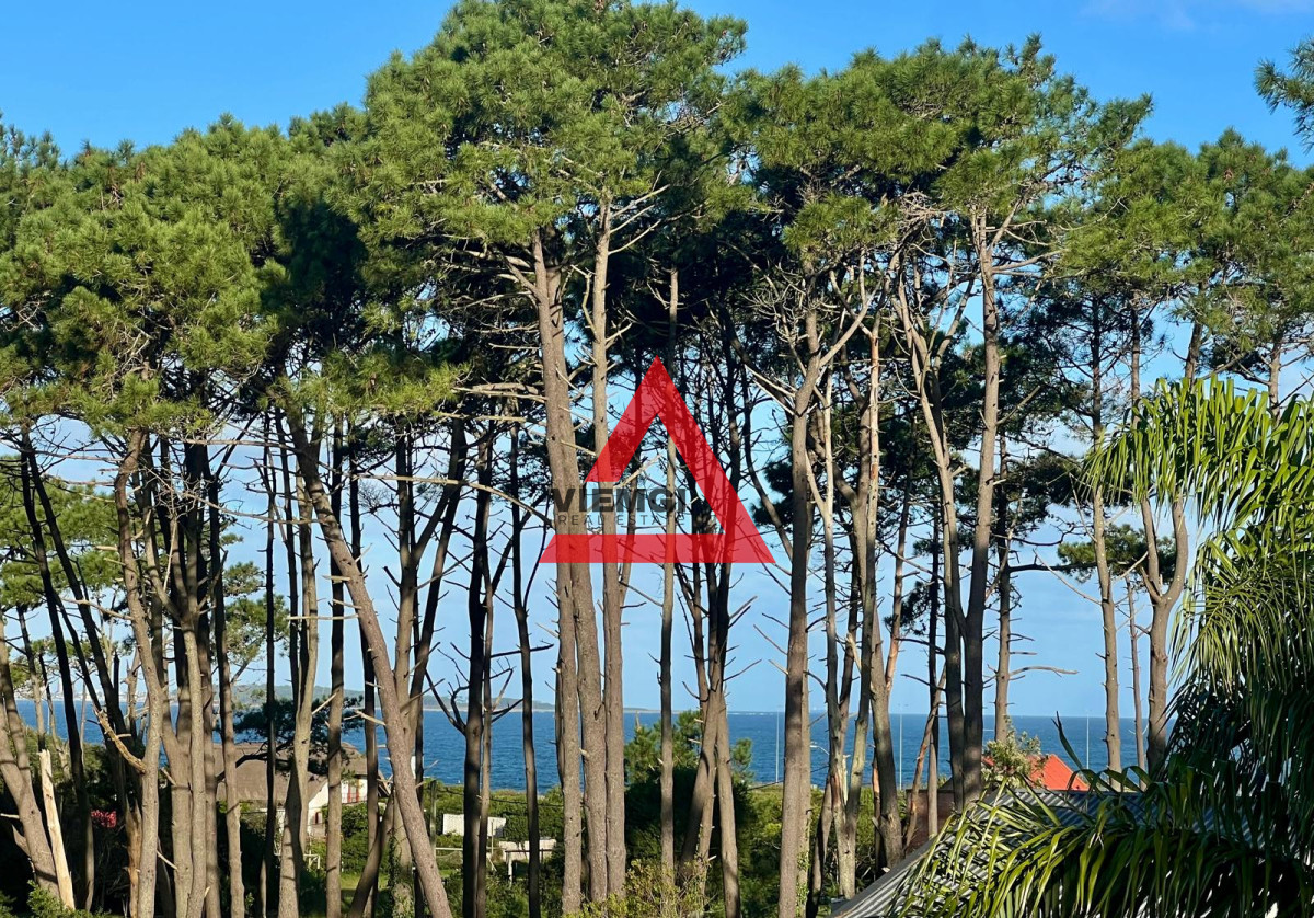 Terreno ID.51 - Terreno Piedras del Chileno, Punta Ballena a 1 cuadra del mar