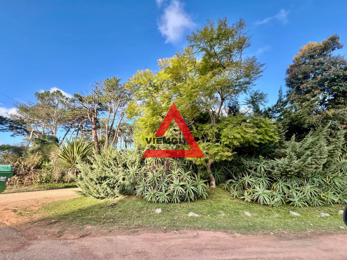 Terreno ID.51 - Terreno Piedras del Chileno, Punta Ballena a 1 cuadra del mar