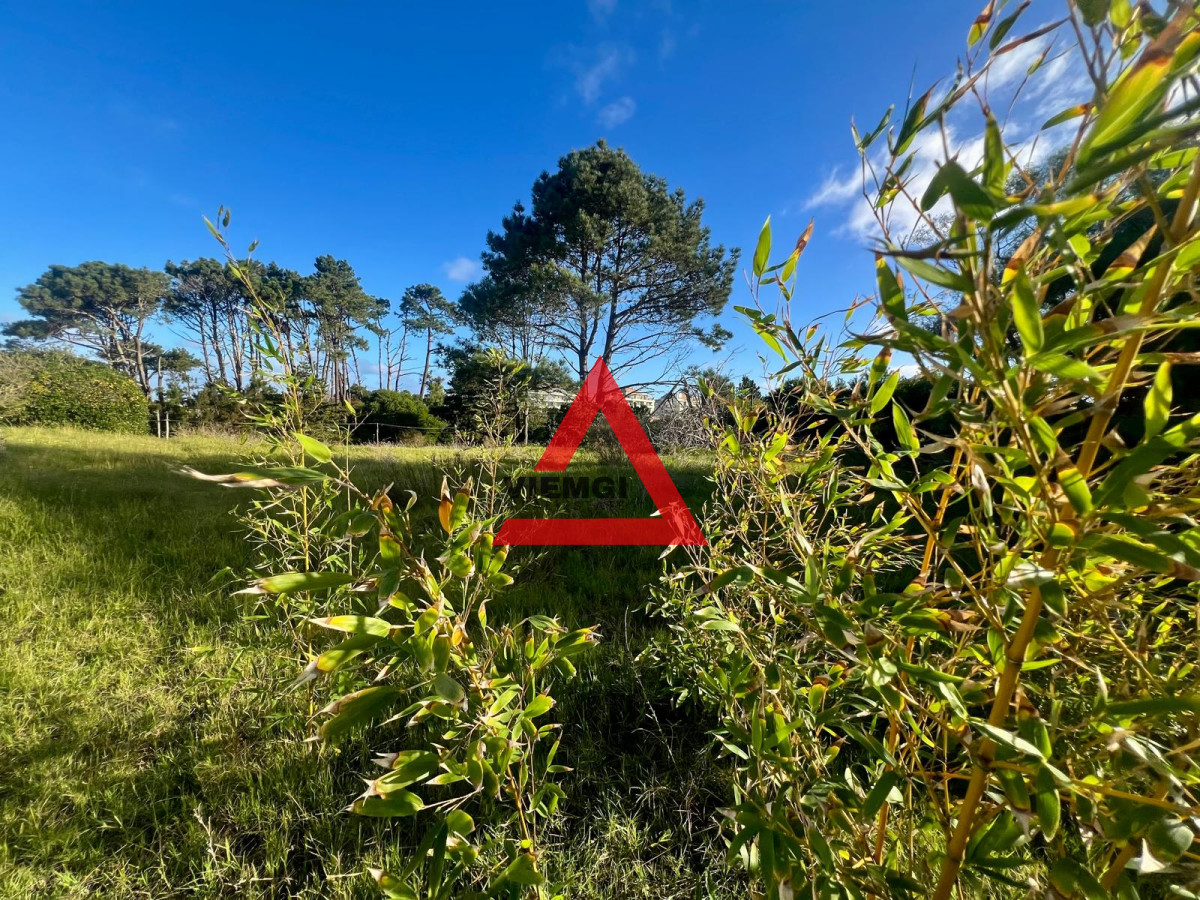 Terreno ID.51 - Terreno Piedras del Chileno, Punta Ballena a 1 cuadra del mar