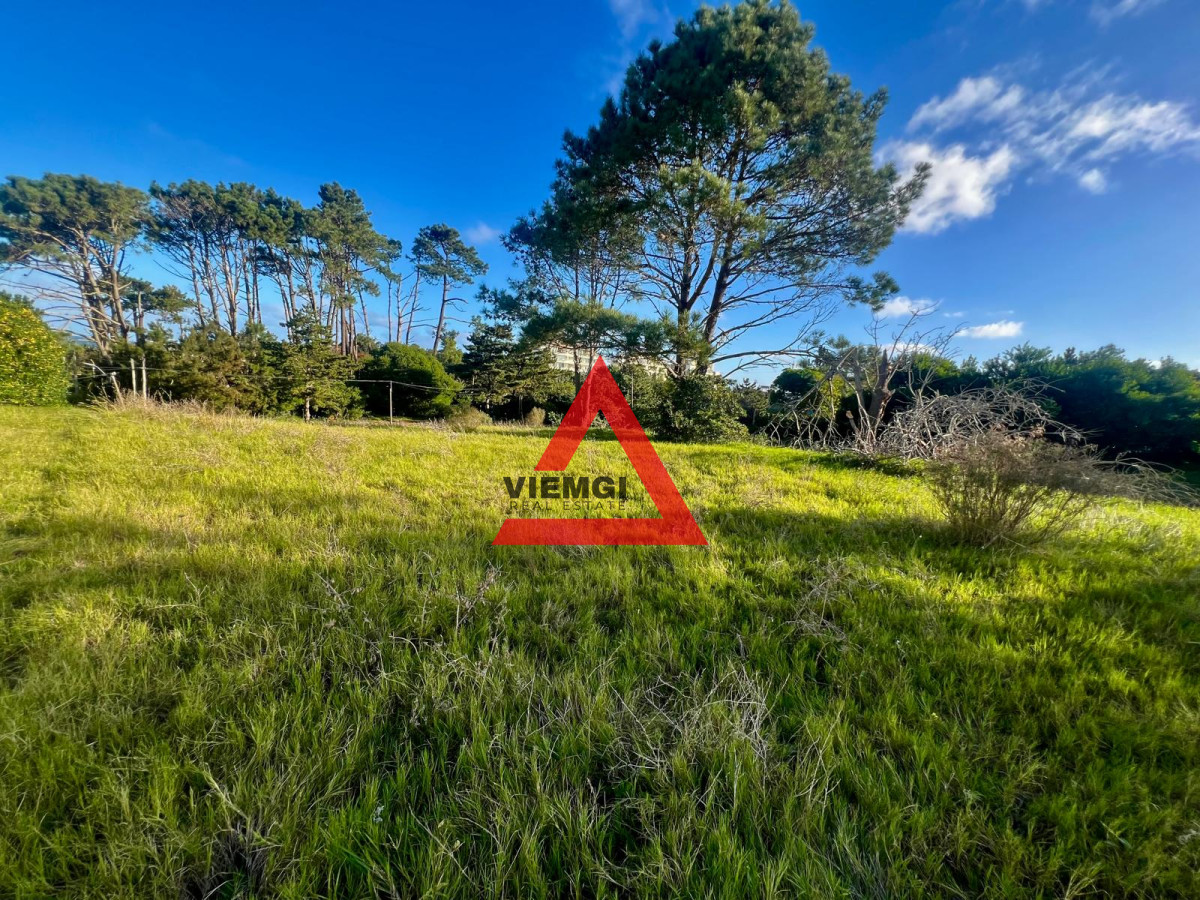 Terreno ID.51 - Terreno Piedras del Chileno, Punta Ballena a 1 cuadra del mar