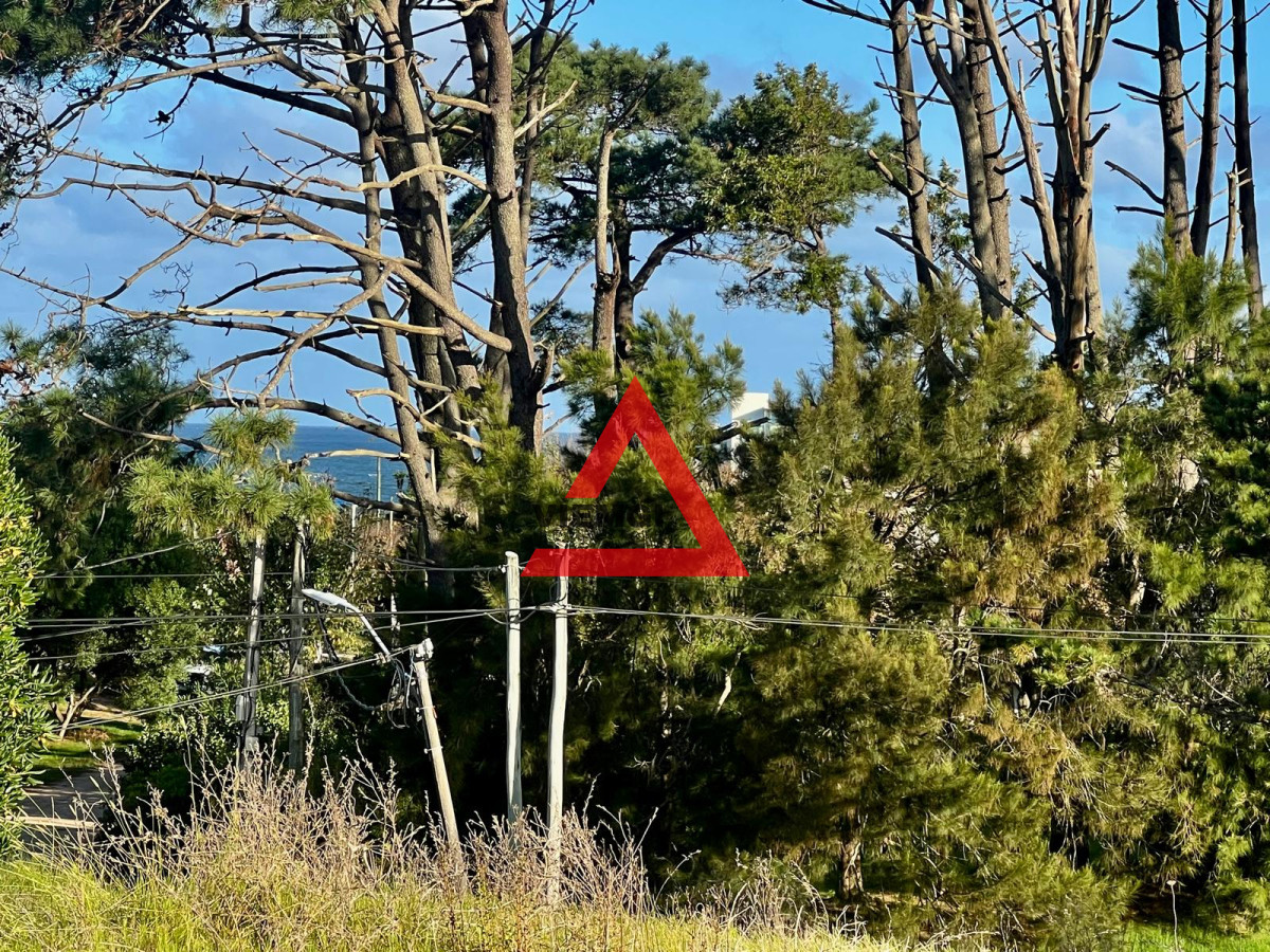Terreno ID.51 - Terreno Piedras del Chileno, Punta Ballena a 1 cuadra del mar