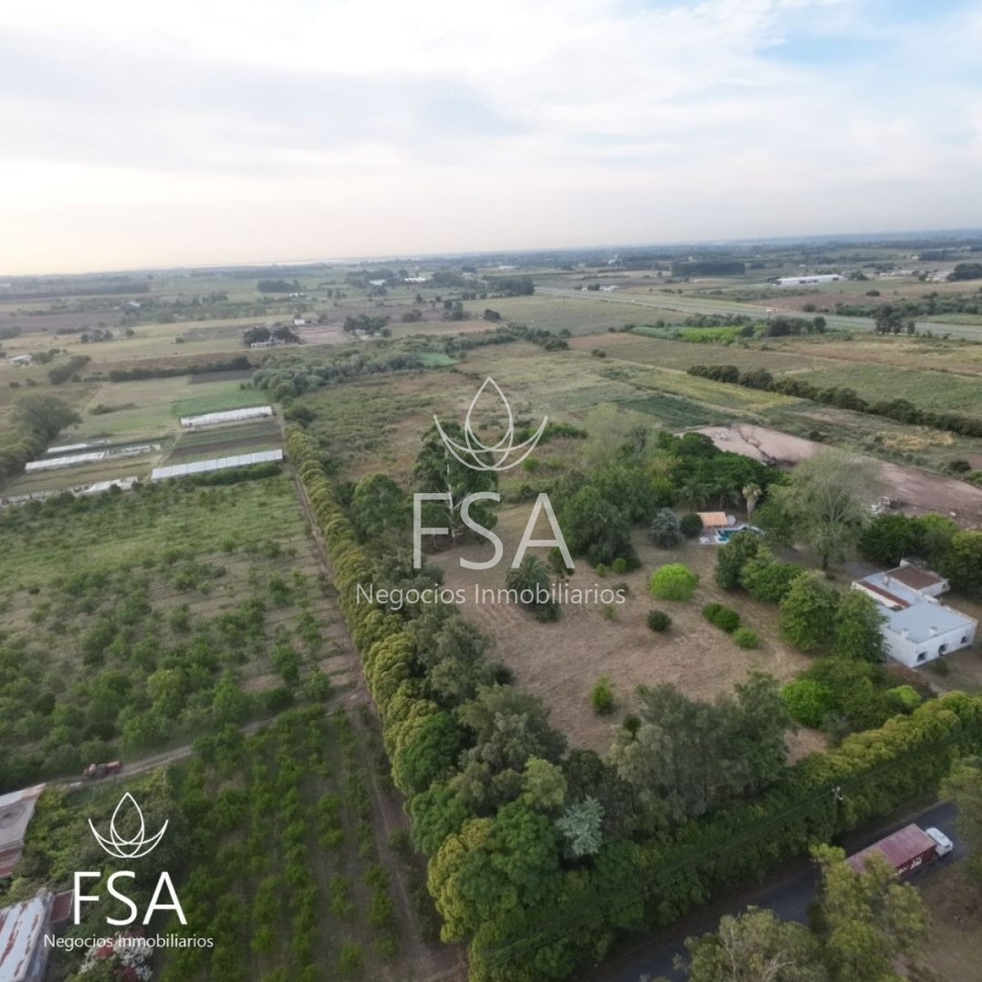 Chacra ID.58 - 