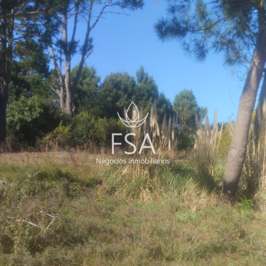 Terreno ID.279 - Venta Terreno 600 mts Punta del Diablo Rocha E