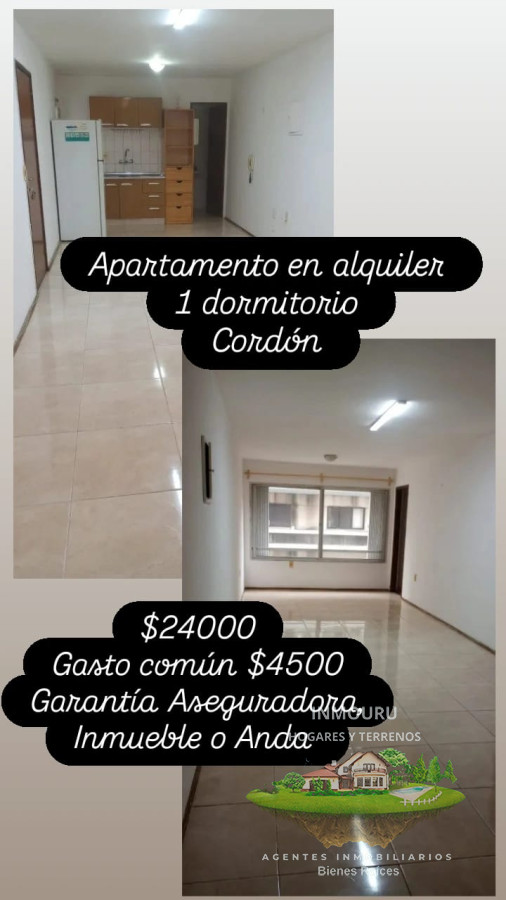 Apartamento ID.953 - Alquiler de apartamento en Cordón, 1 dormitorio
