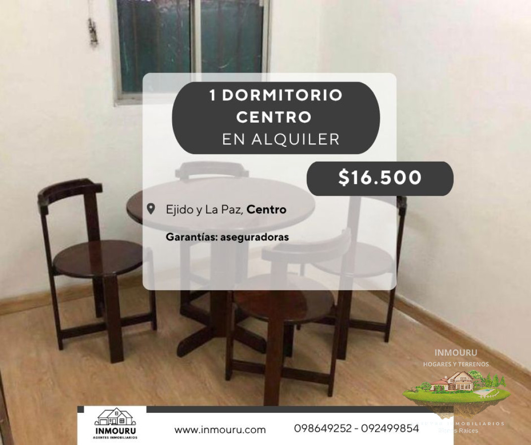 Apartamento ID.1072 - Se alquila monoambiente en Centro
