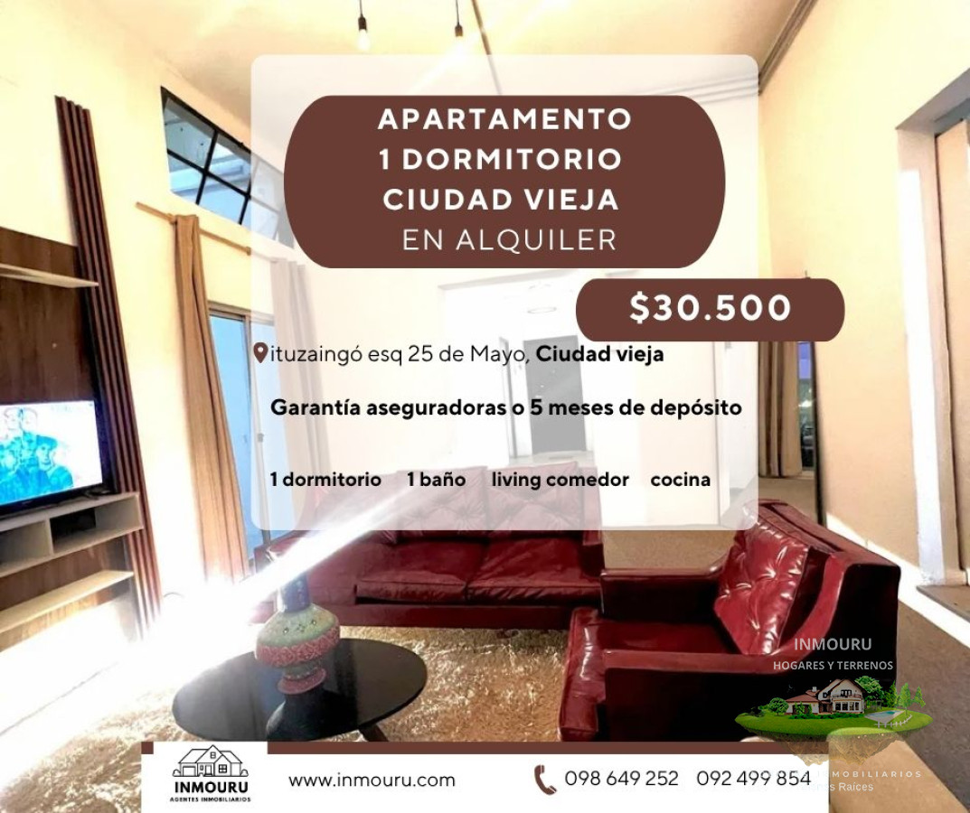 Apartamento ID.1628 - Se alquila apartamento tipo loft, 1 dormitorio, Ciudad Vieja 
