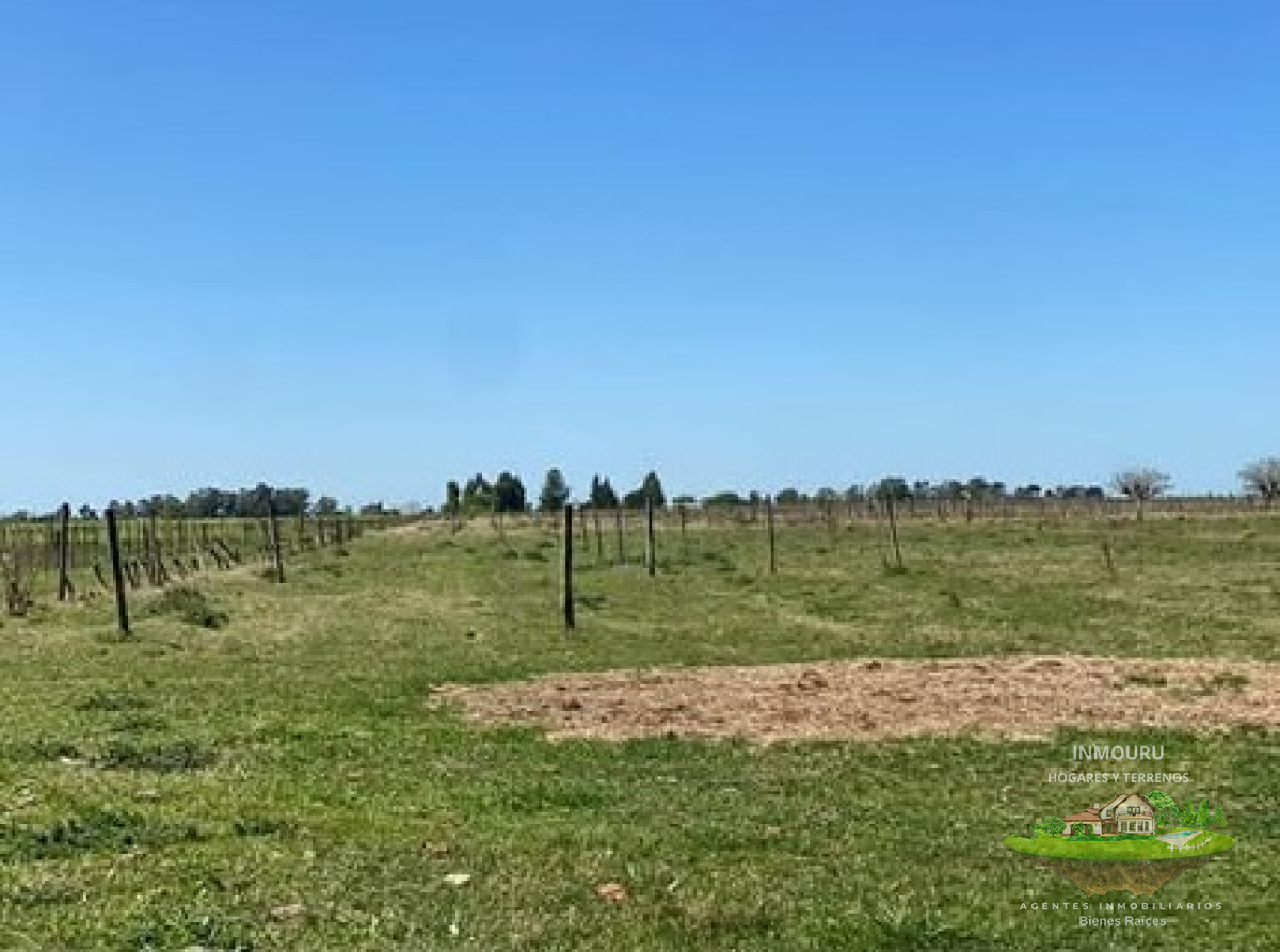 Casa ID.451 - Alquiler de casa en Canelones con 4 hectareas de campo