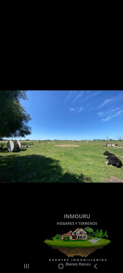 Casa ID.451 - Alquiler de casa en Canelones con 4 hectareas de campo